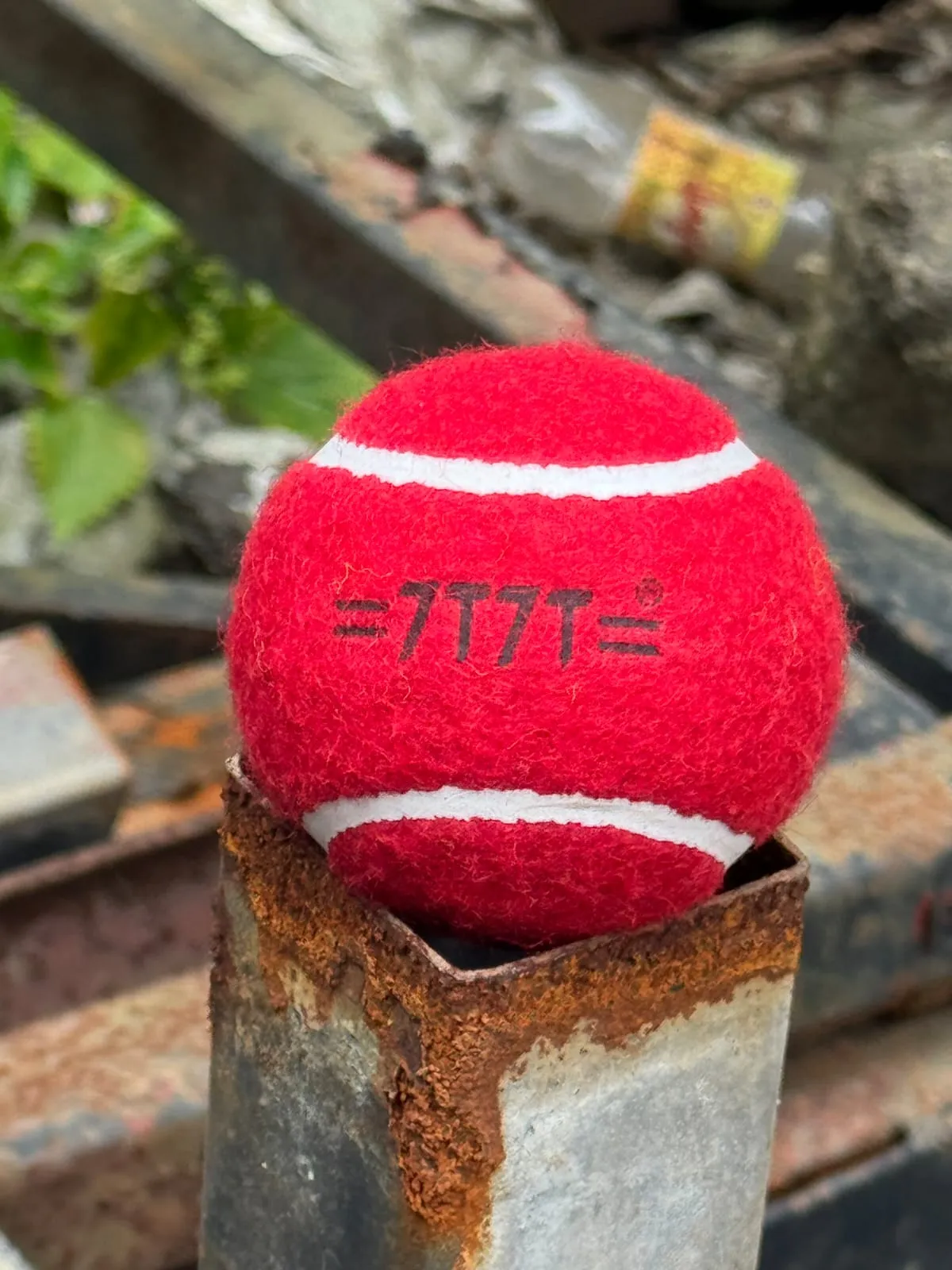Tennis Ball