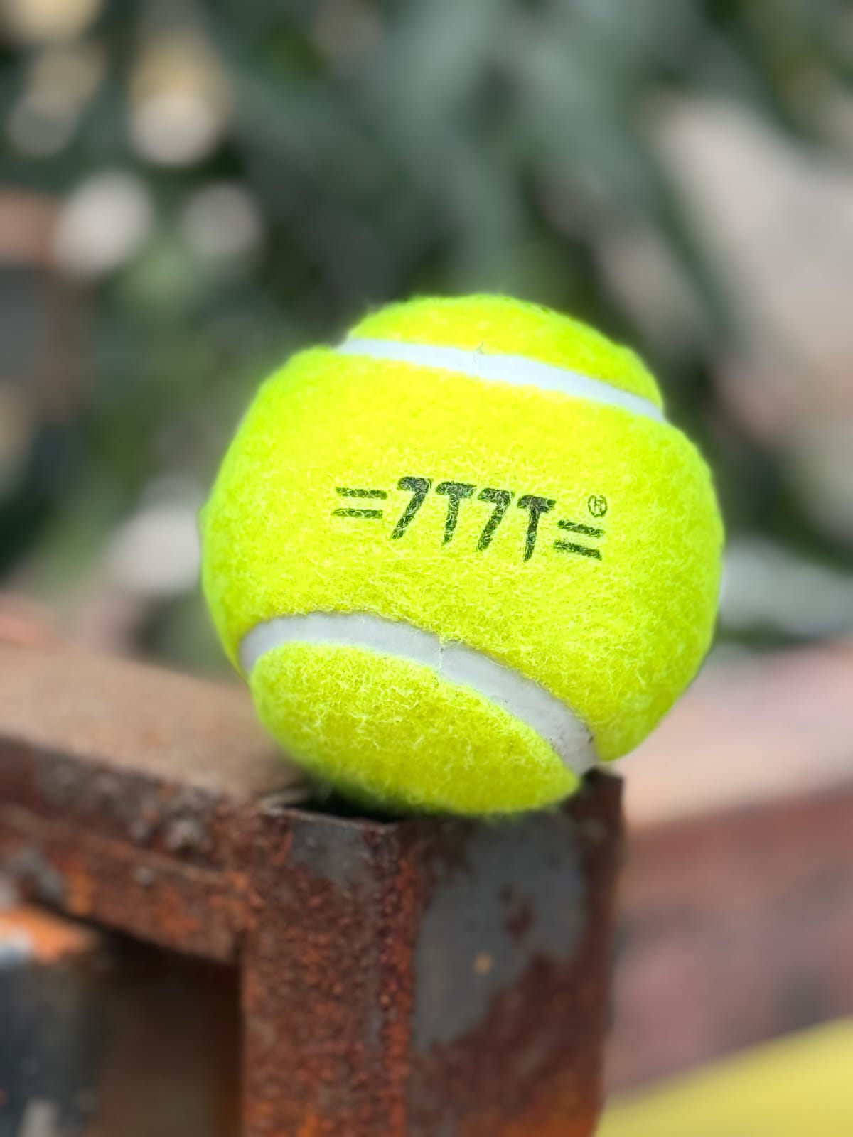 Leather Cricket Ball