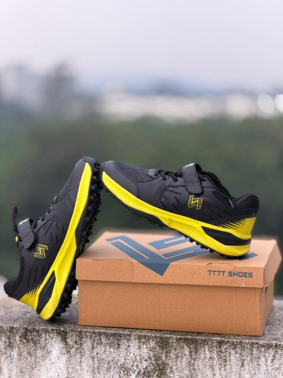 Professional Cricket Shoes