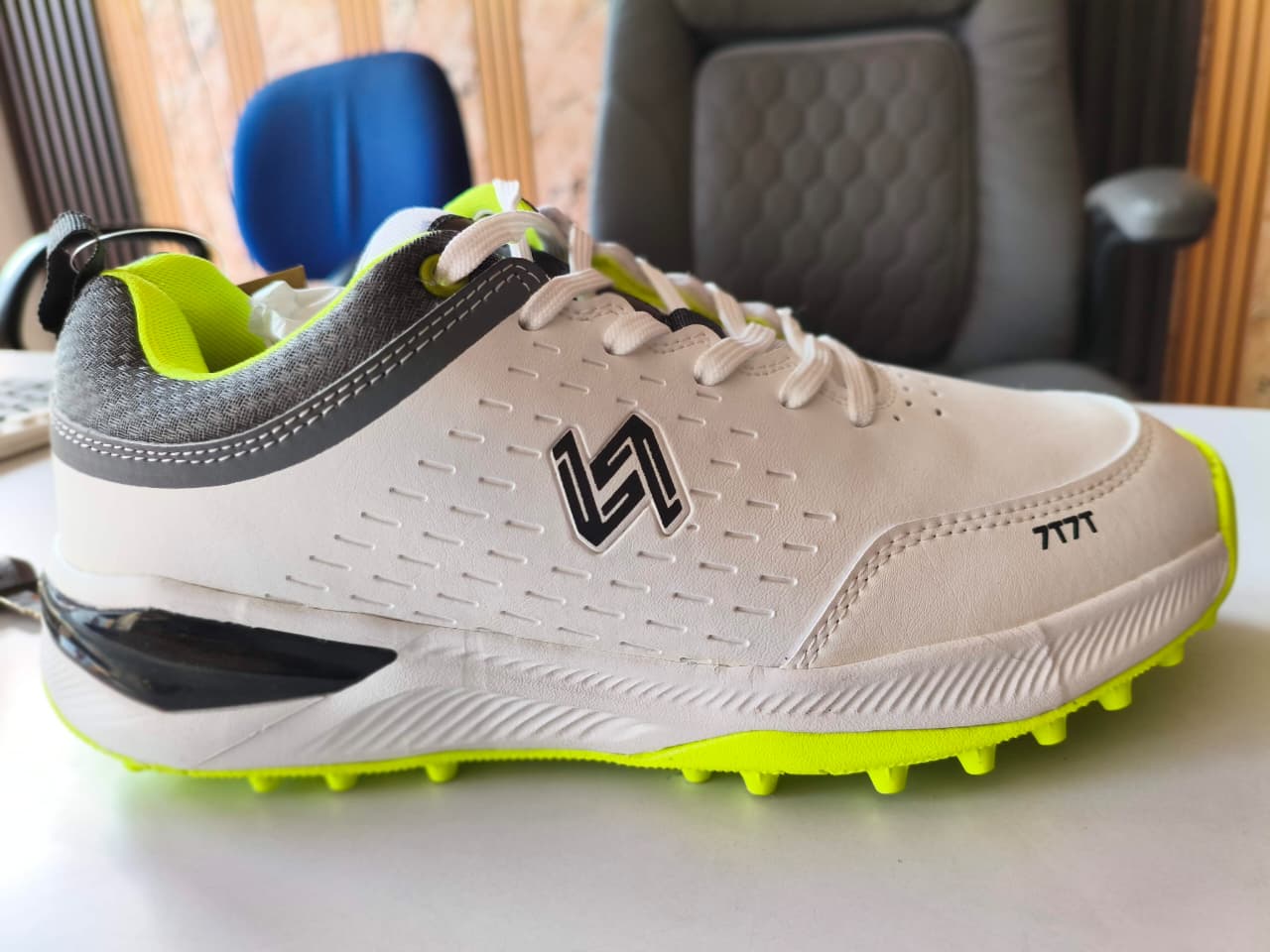 Professional Cricket Shoes View 2